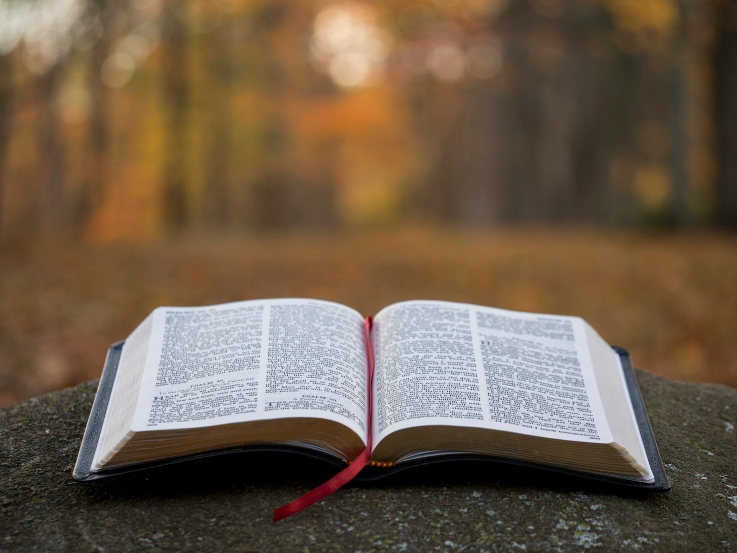 Top Ways to Learn Scripture as a Family